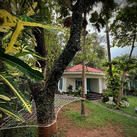 Paddle Cult Hotel Varkala Buitenkant foto