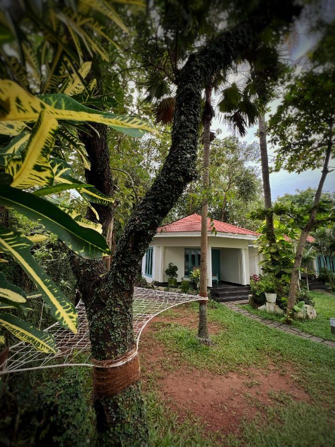 Paddle Cult Hotel Varkala Buitenkant foto